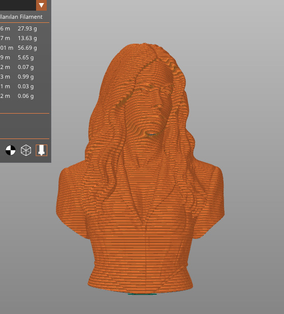 Anne Hathaway  3D print model_29