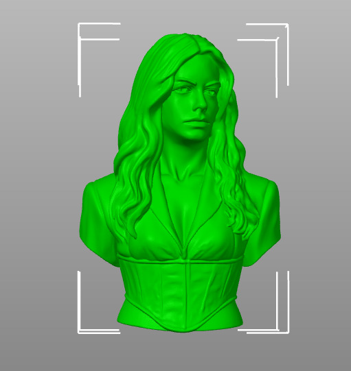 Anne Hathaway  3D print model_24