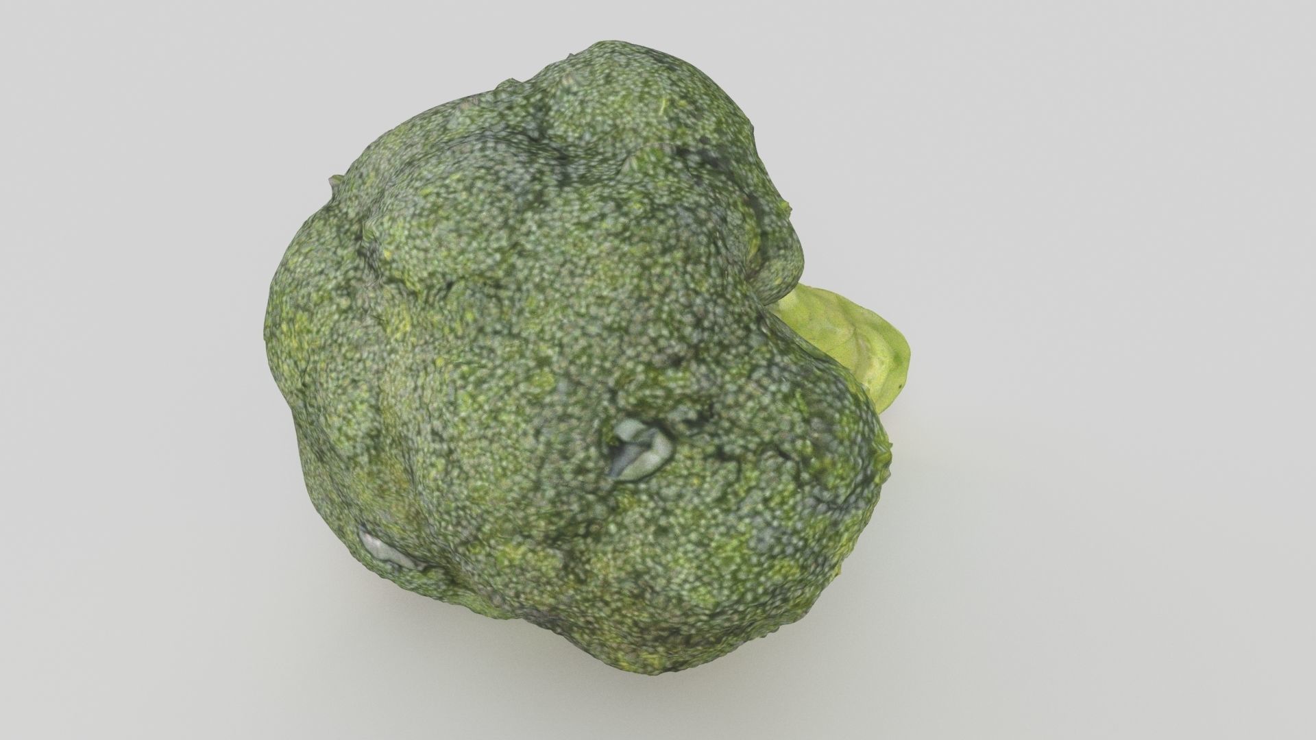 broccoli piece of Low-poly 3D model_2