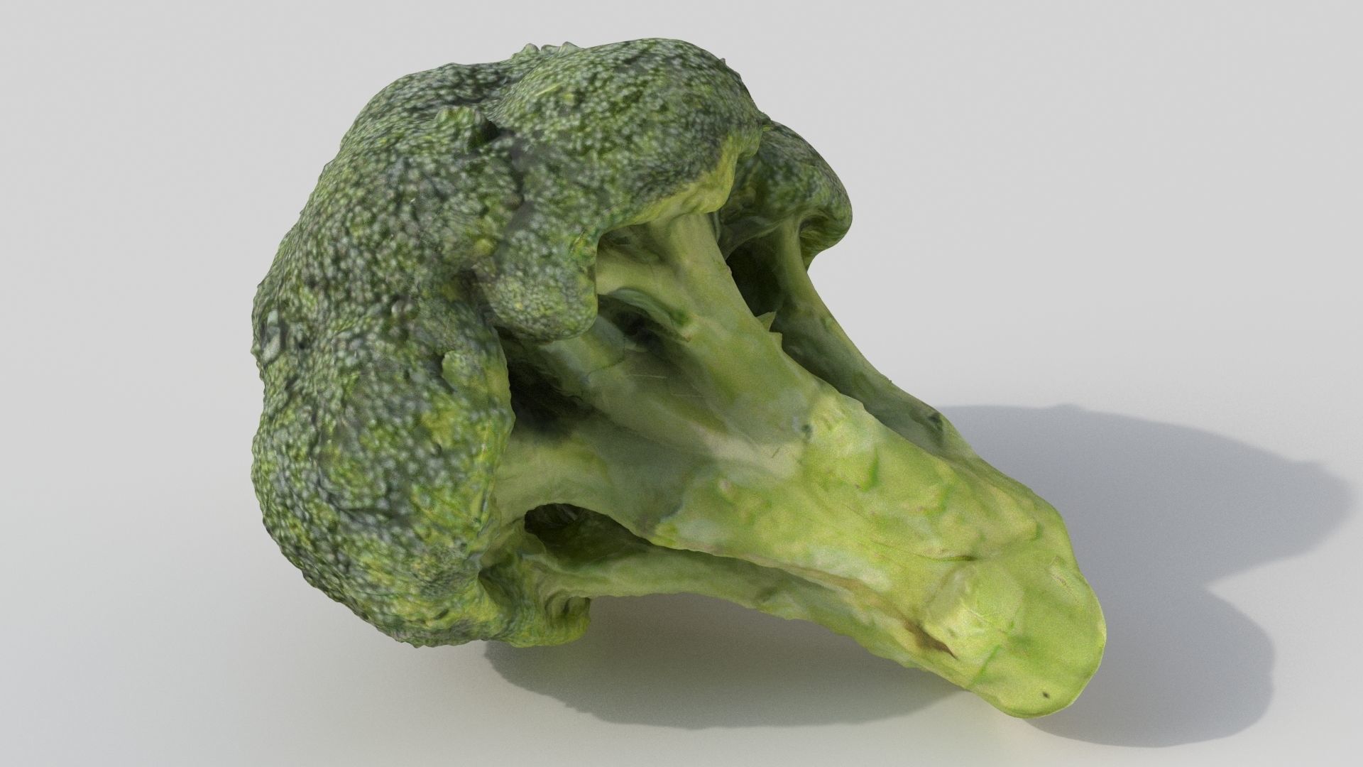 broccoli piece of Low-poly 3D model_3