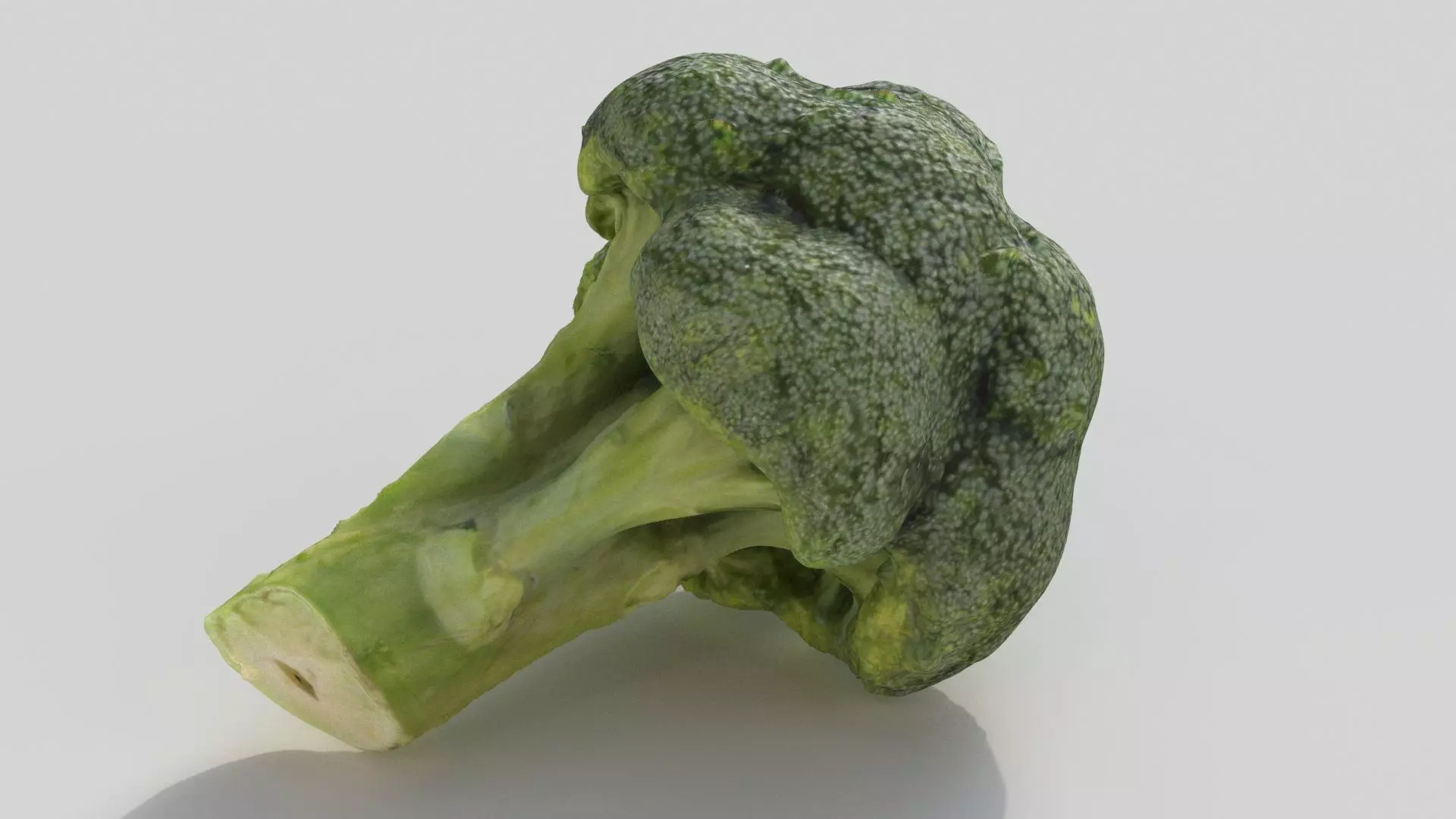 broccoli piece of Low-poly 3D model_0