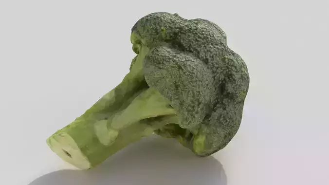 broccoli piece of