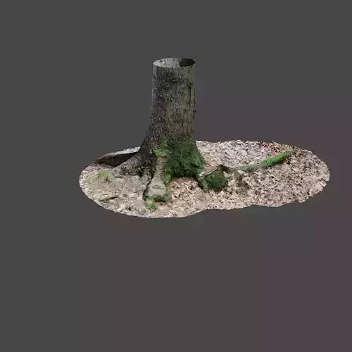 Tree 6 stump with moss 3D model