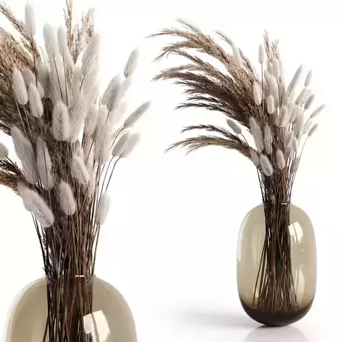 A bouquet of dry plants 3D model