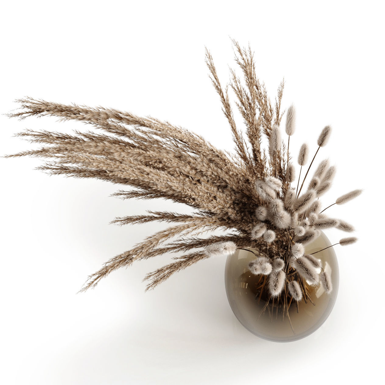 A bouquet of dry plants 3D model_1