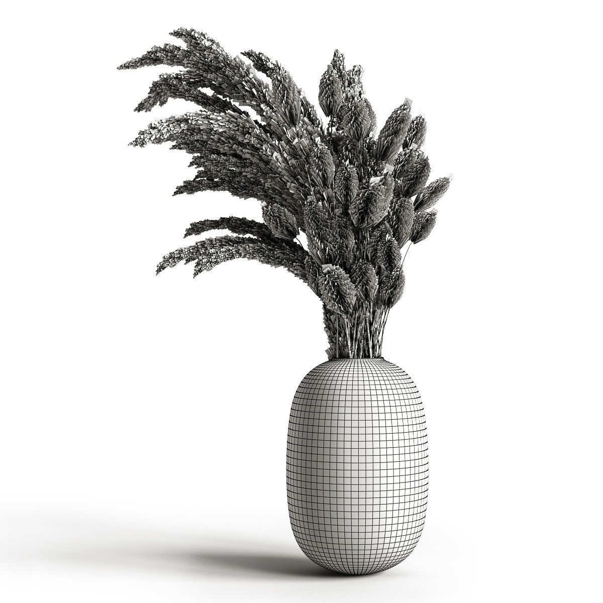 A bouquet of dry plants 3D model_5