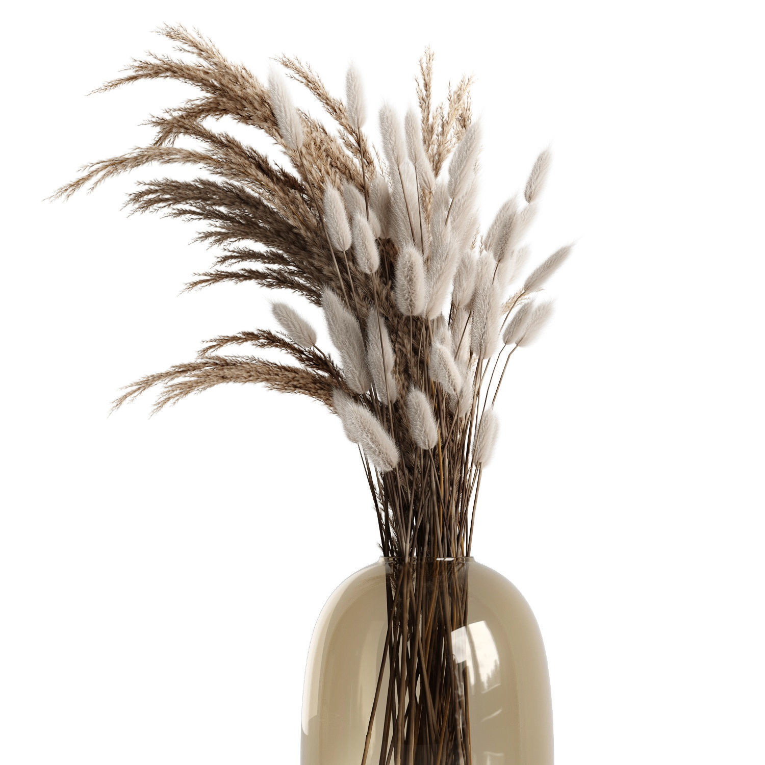 A bouquet of dry plants 3D model_3