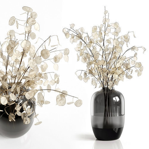 A bouquet of lunaria 2 3D model