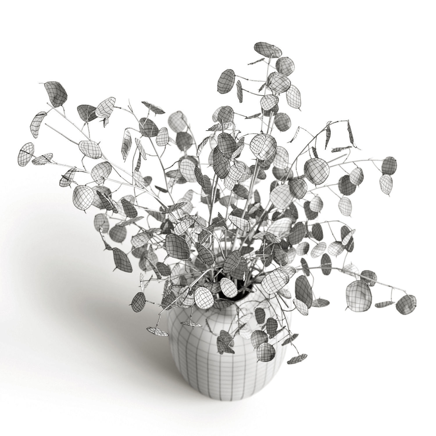 A bouquet of lunaria 2 3D model_5