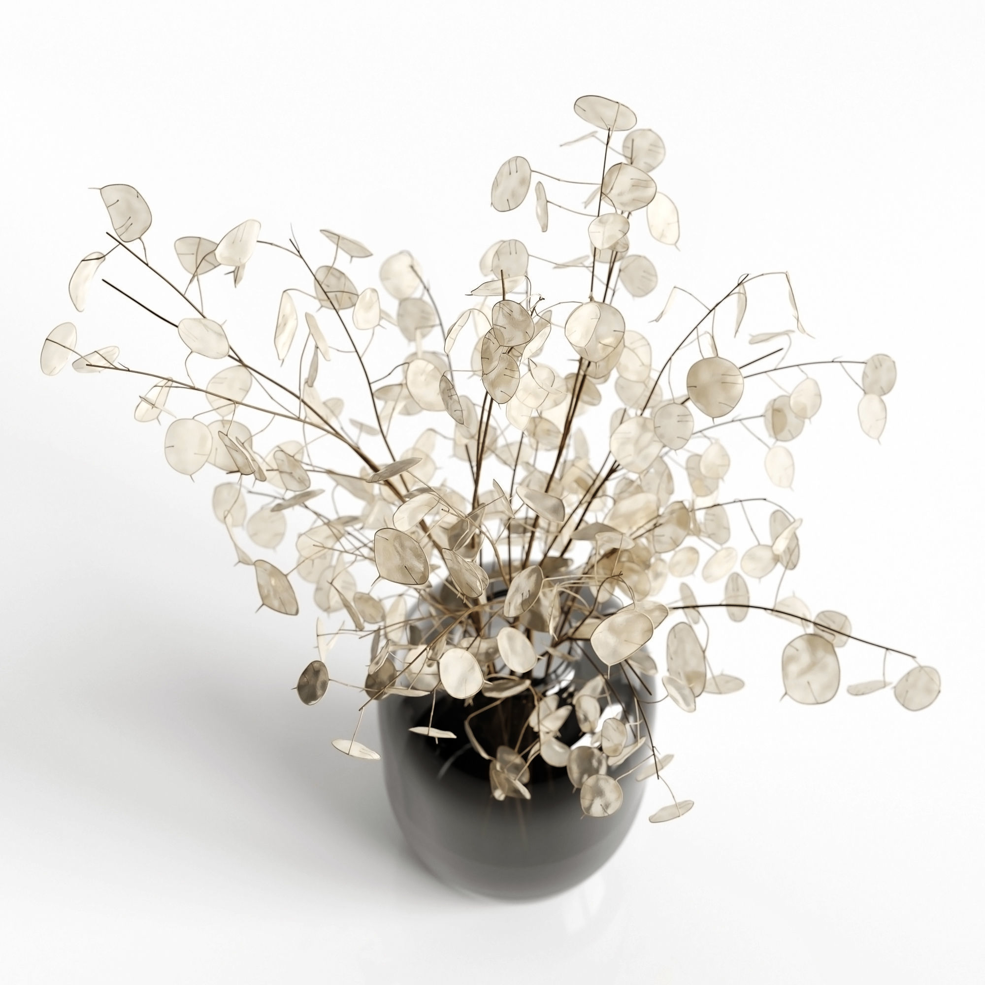 A bouquet of lunaria 2 3D model_1