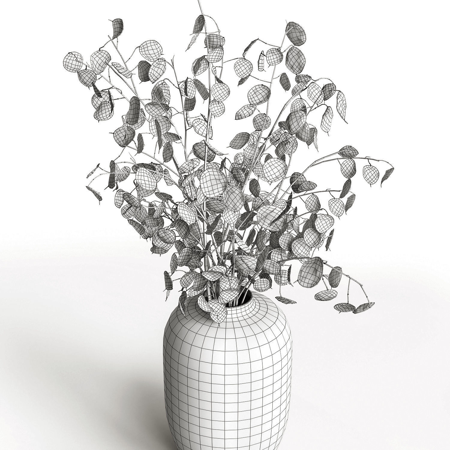 A bouquet of lunaria 2 3D model_7