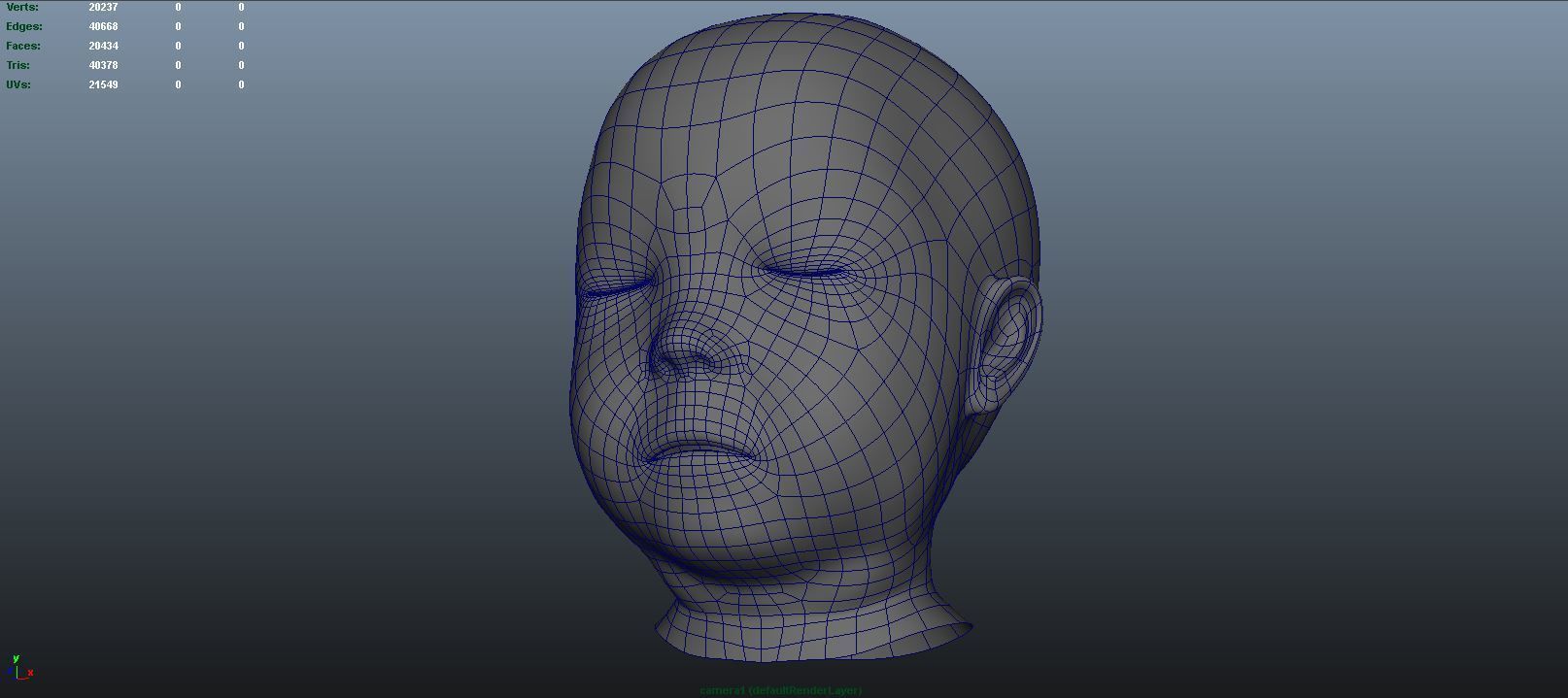 stages of brain development anatomy before birth 3D model_9