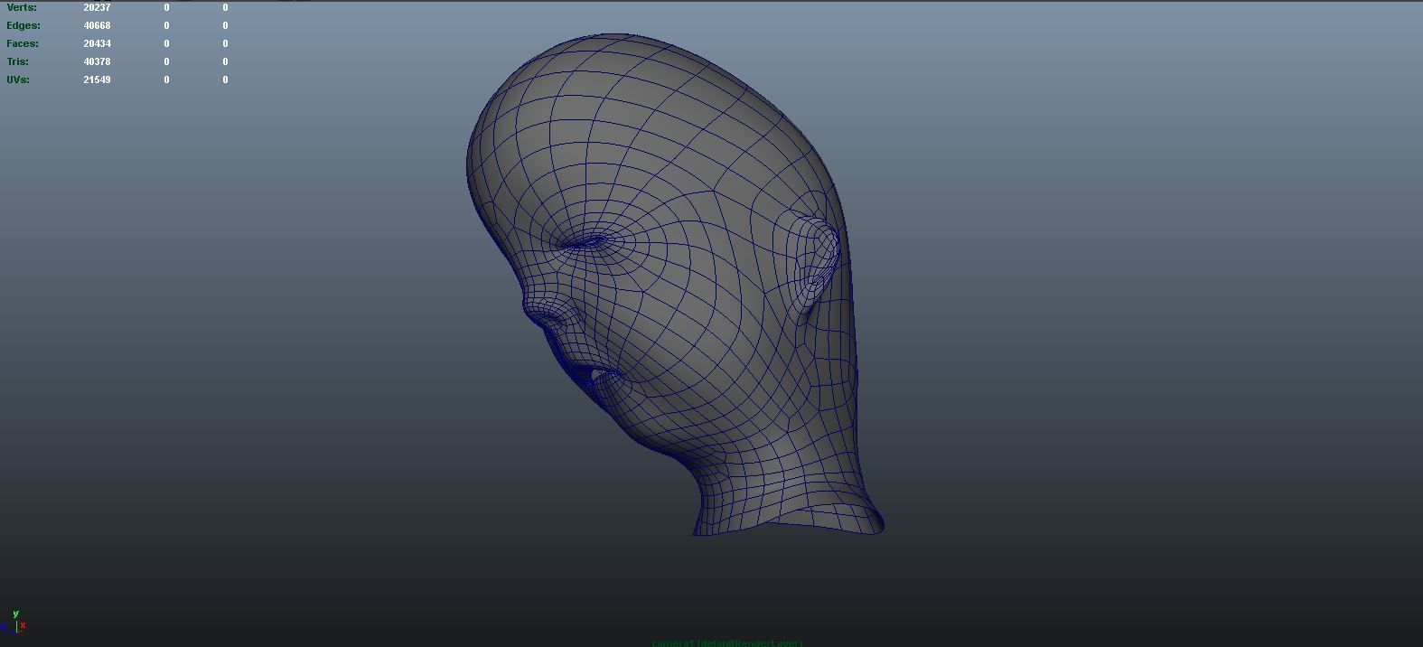 stages of brain development anatomy before birth 3D model_7