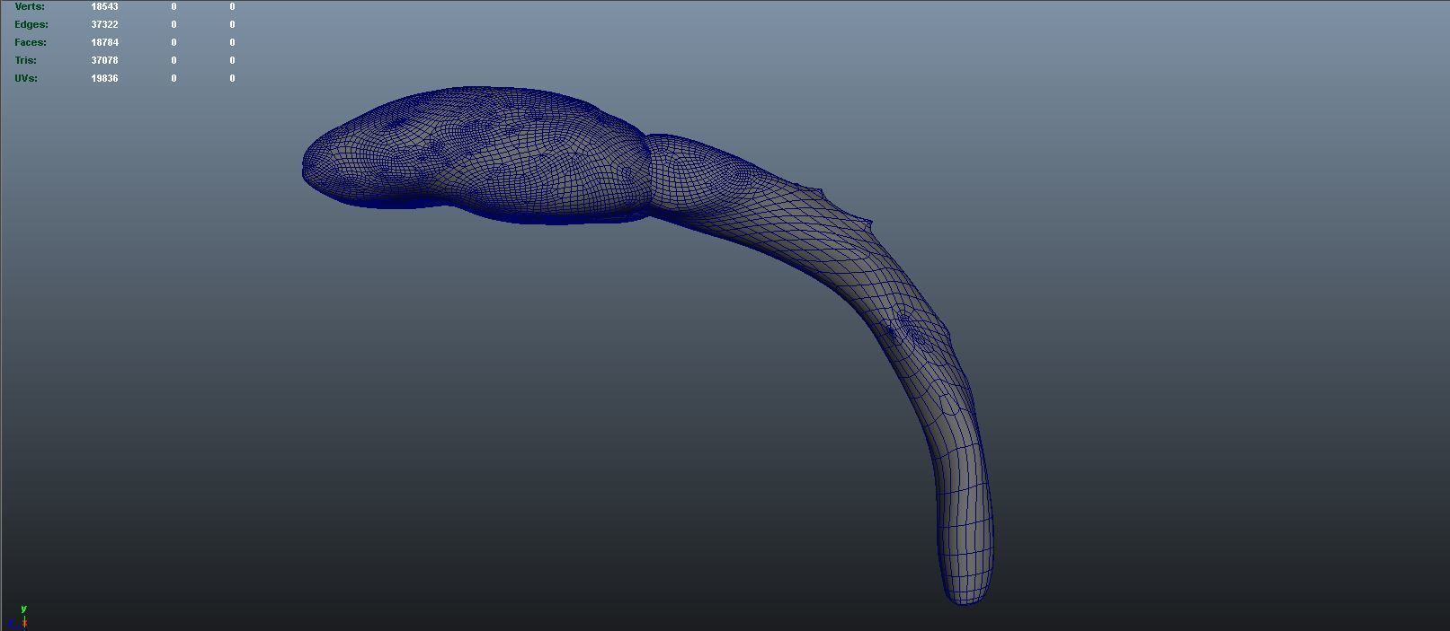 stages of brain development anatomy before birth 3D model_6