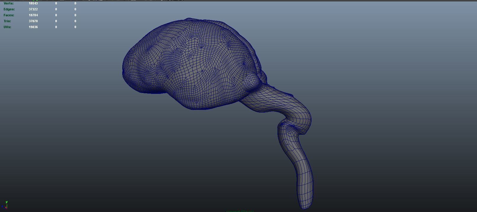 stages of brain development anatomy before birth 3D model_10
