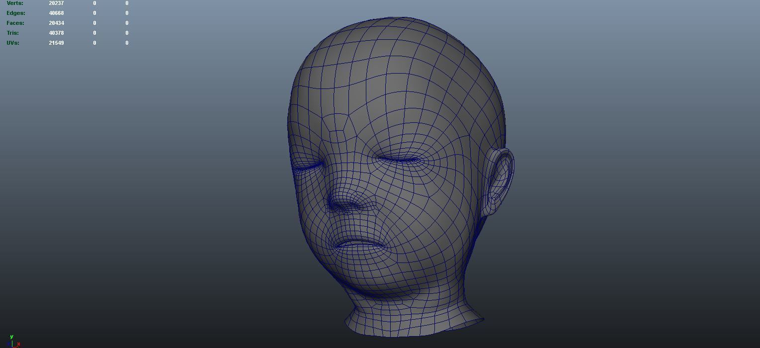 stages of brain development anatomy before birth 3D model_8