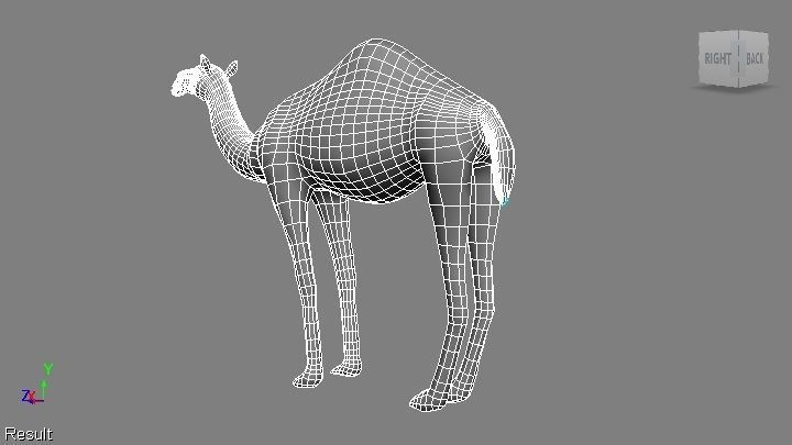 camel Low-poly 3D model_5