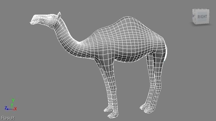 camel Low-poly 3D model_1