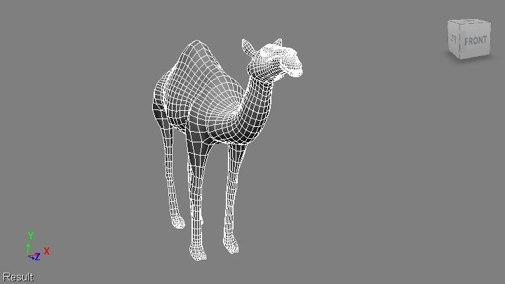 camel Low-poly 3D model_19