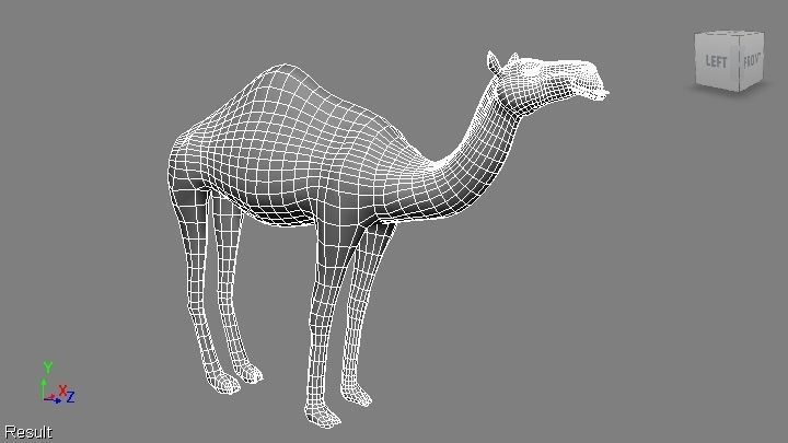 camel Low-poly 3D model_12