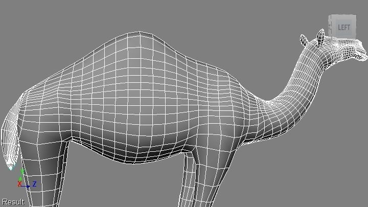 camel Low-poly 3D model_15