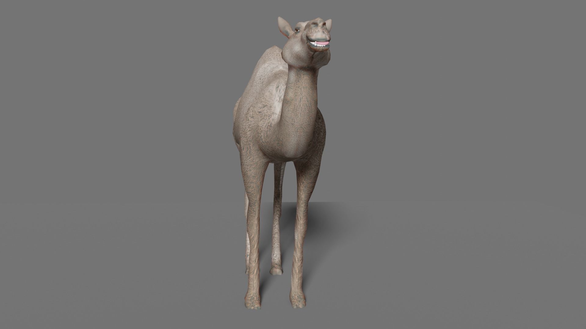 camel Low-poly 3D model_10