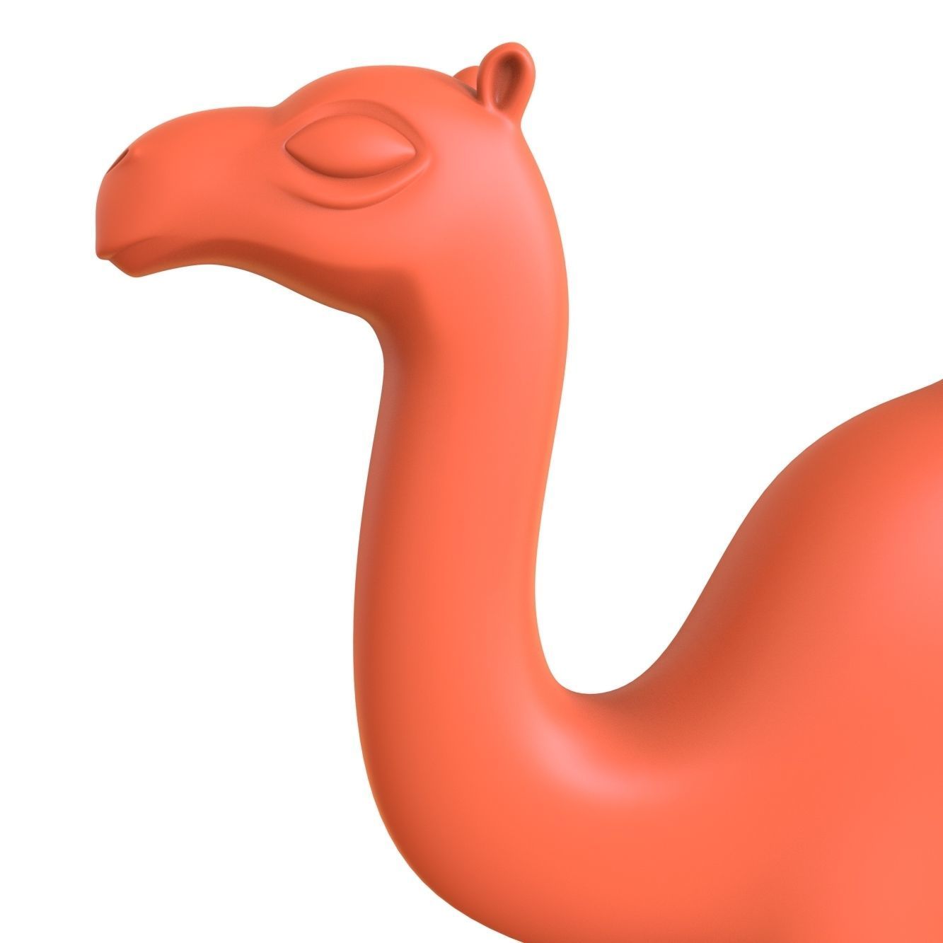 Camel 3D print model_3