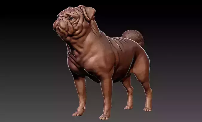 Pug Dog - 3D Print Model 3D print model