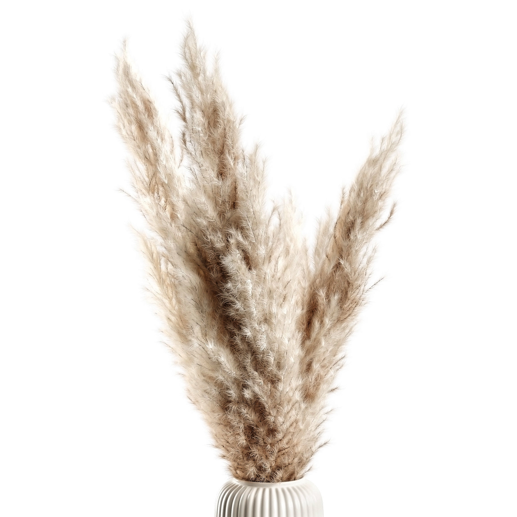 Pampas and hydrangea 3D model_2