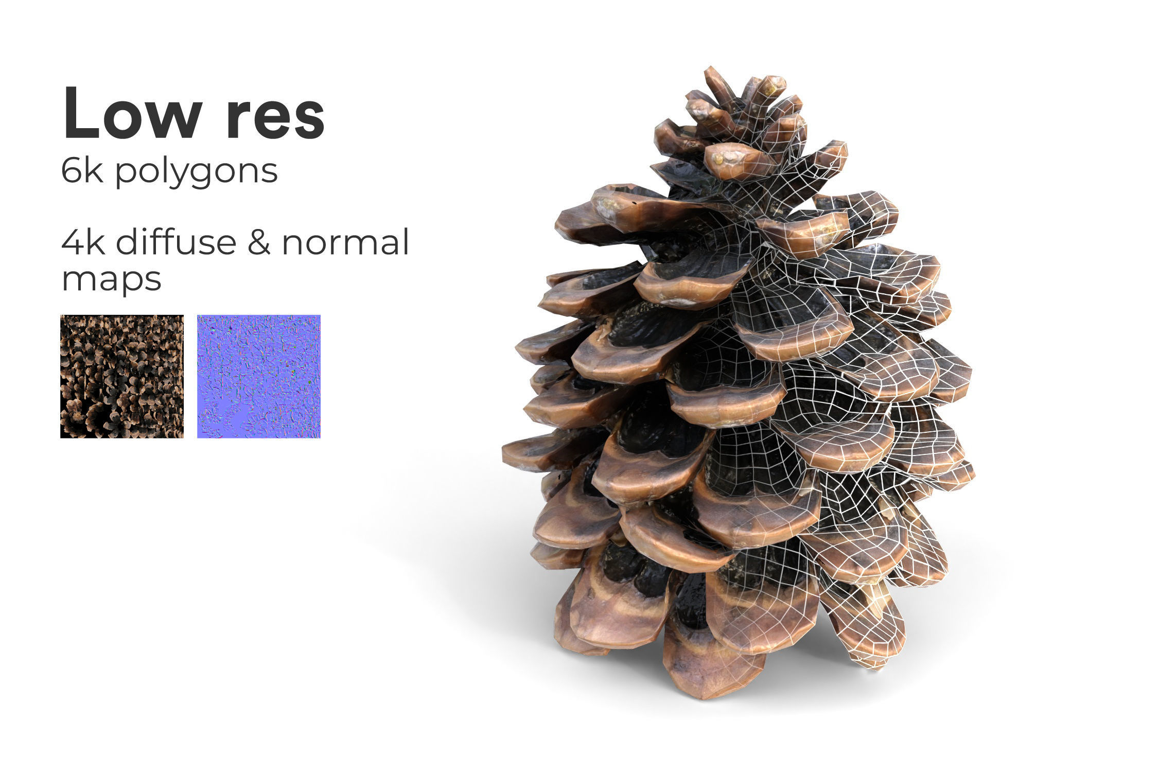 Realistic pine cone photoscan - multiple resolutions 3D model_2
