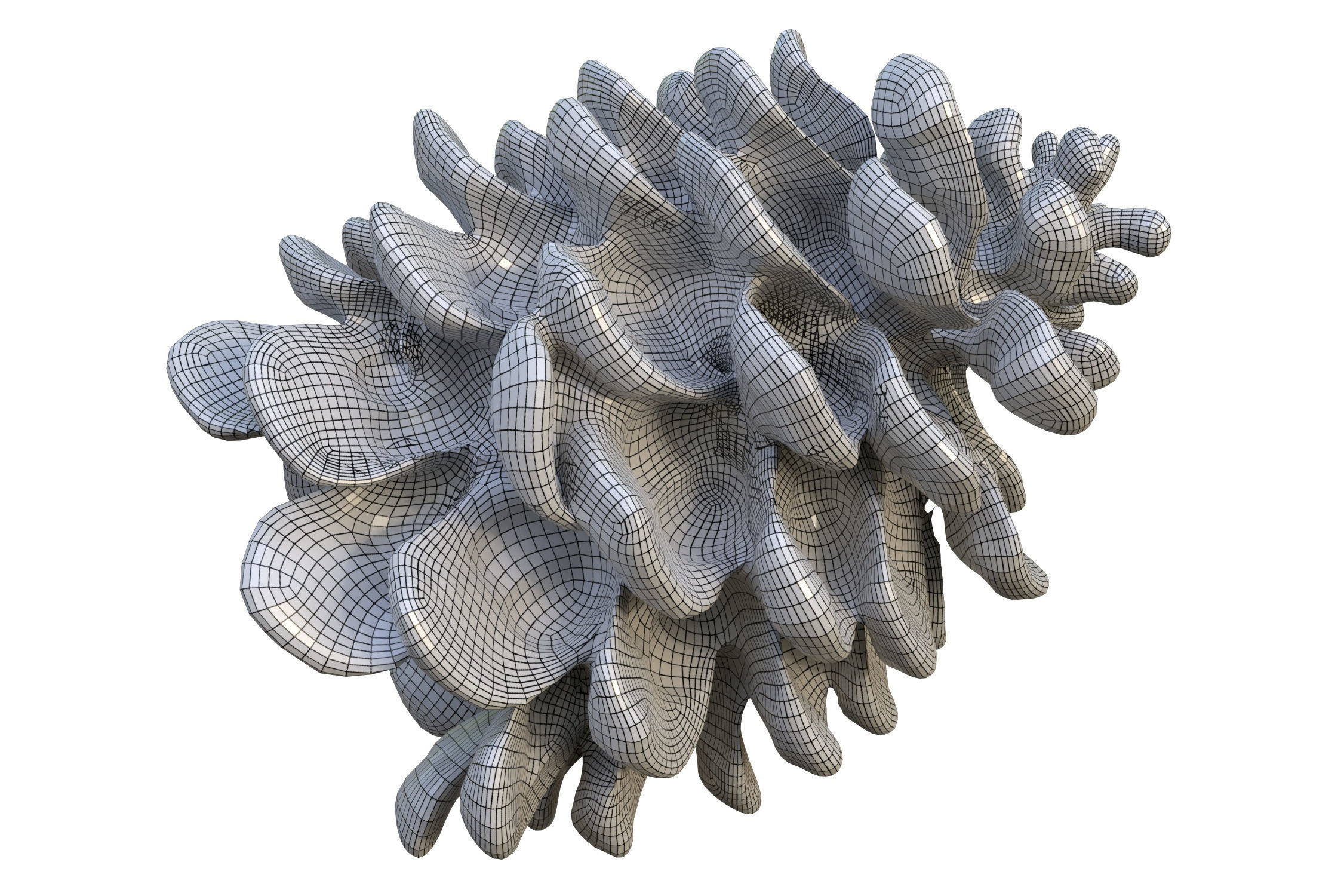 Realistic pine cone photoscan - multiple resolutions 3D model_12