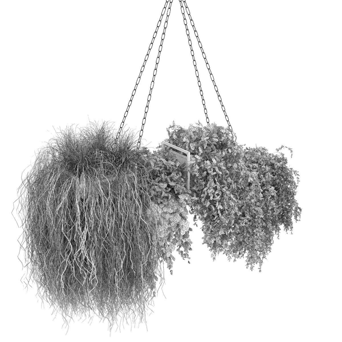 Collection plant vol 282 - indoor - hanging 3D model_4