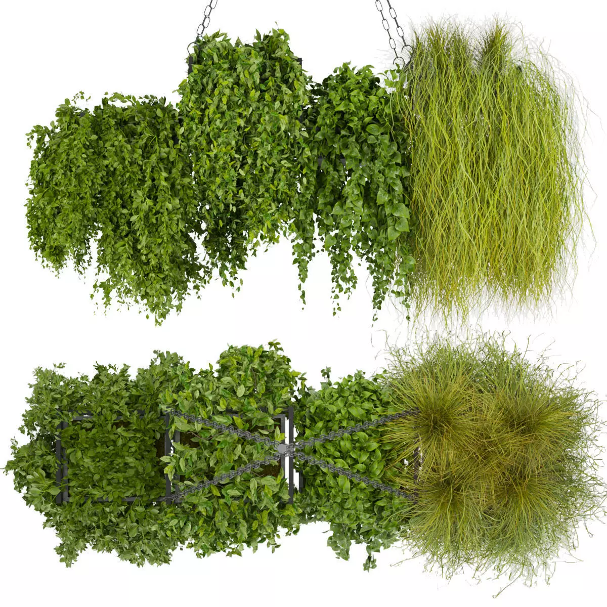 Collection plant vol 282 - indoor - hanging 3D model_0