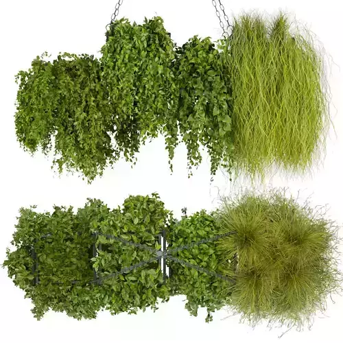 Collection plant vol 282 - indoor - hanging 3D model