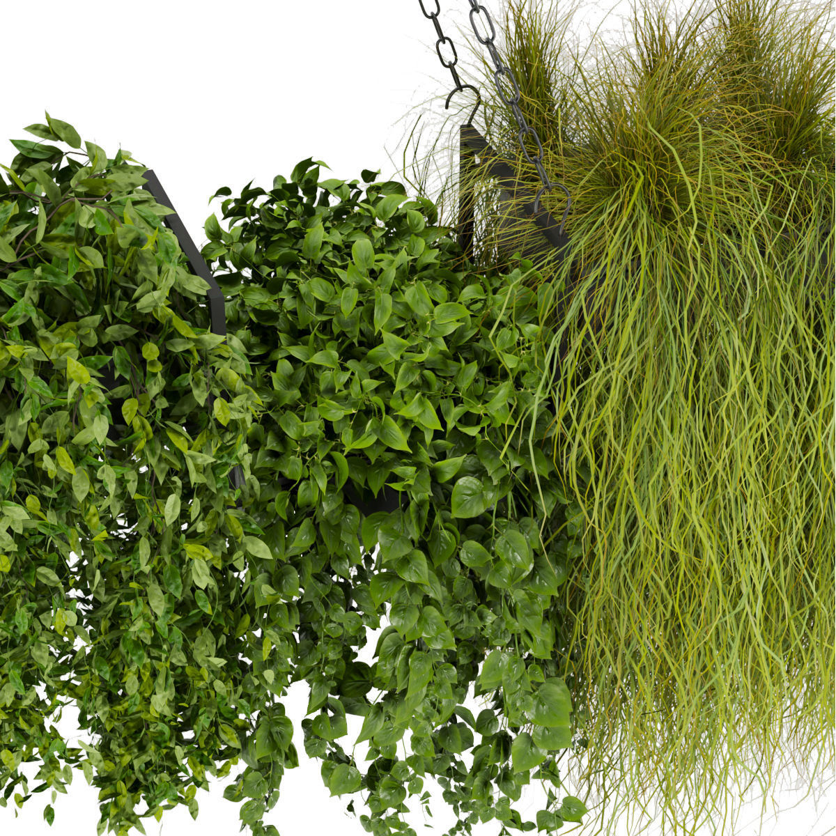 Collection plant vol 282 - indoor - hanging 3D model_3