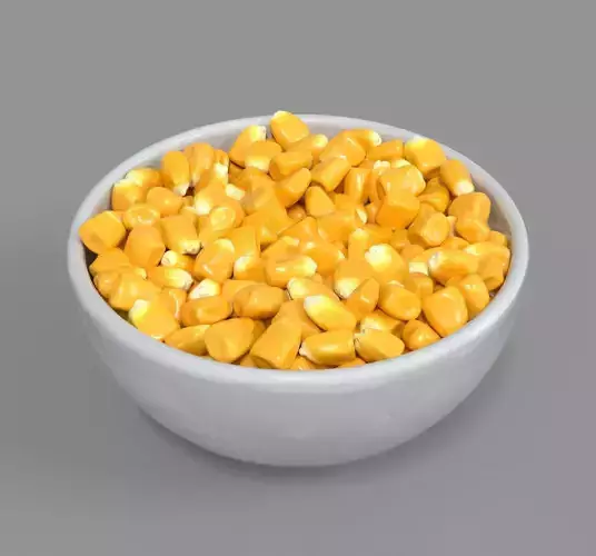 Corn kernel 3D model