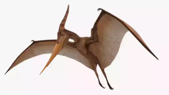 Pteranodon dinosaur Low-poly 3D model