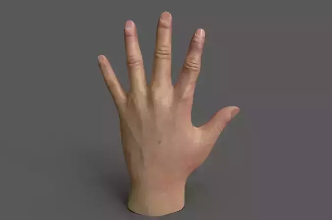 3d hand model lowpoly reaching up to sky Low-poly 3D model