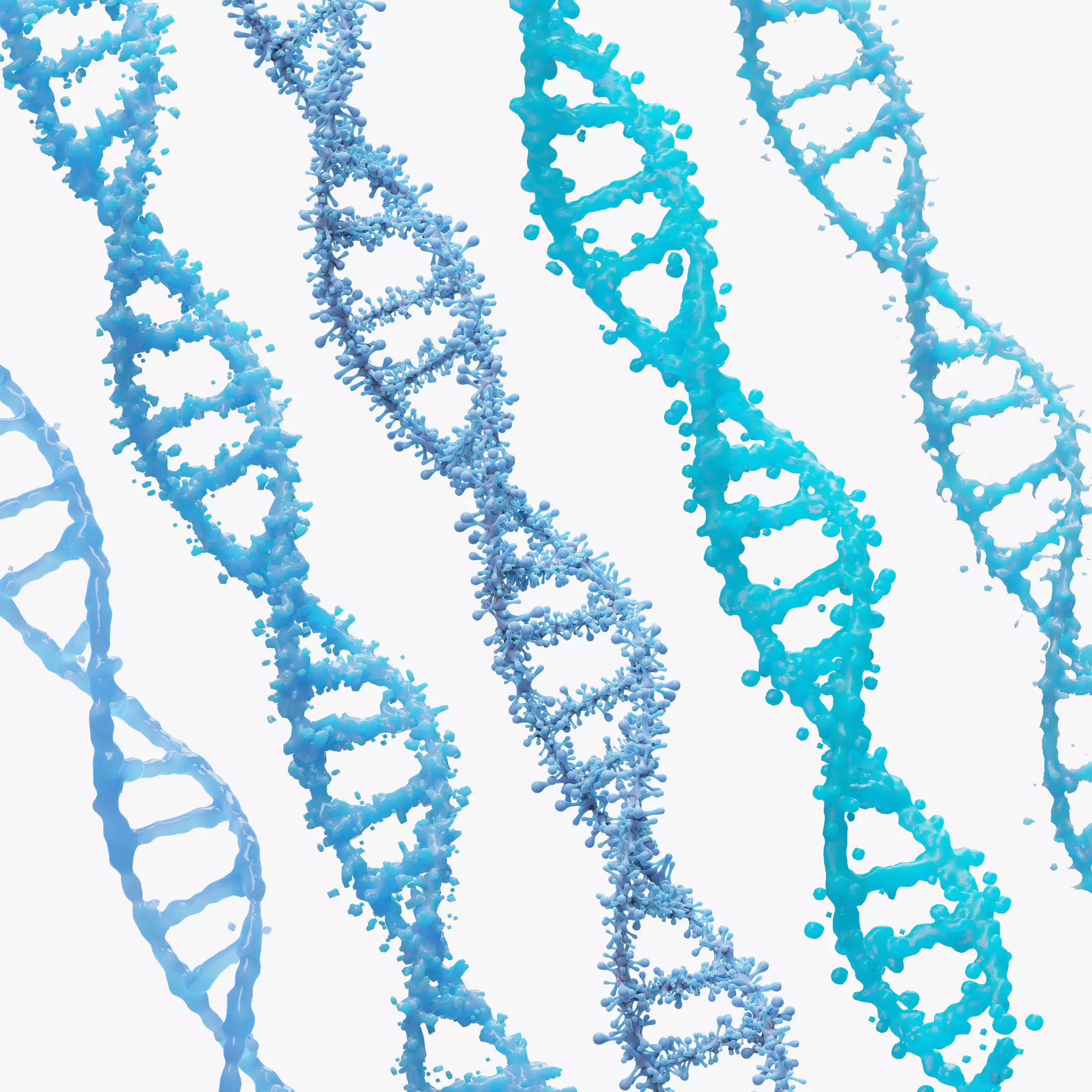 DNA Genetic Molecule 3D model