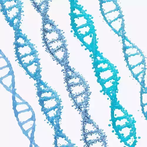 DNA Genetic Molecule 3D model