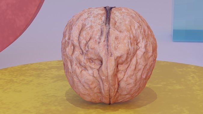 Walnut fruit 01 high-poly 3D model 5