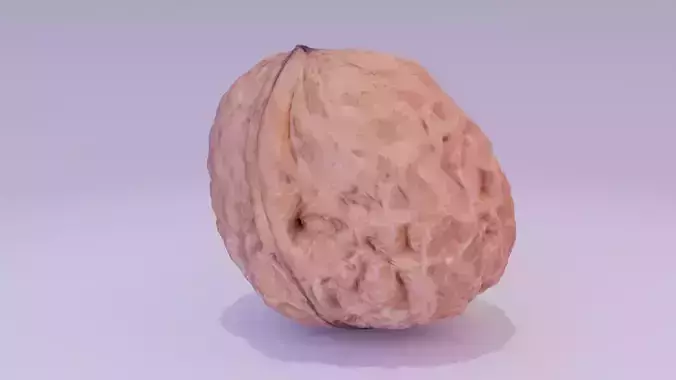Walnut fruit 01 high-poly