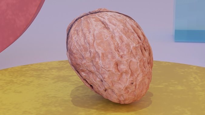 Walnut fruit 01 high-poly 3D model 7