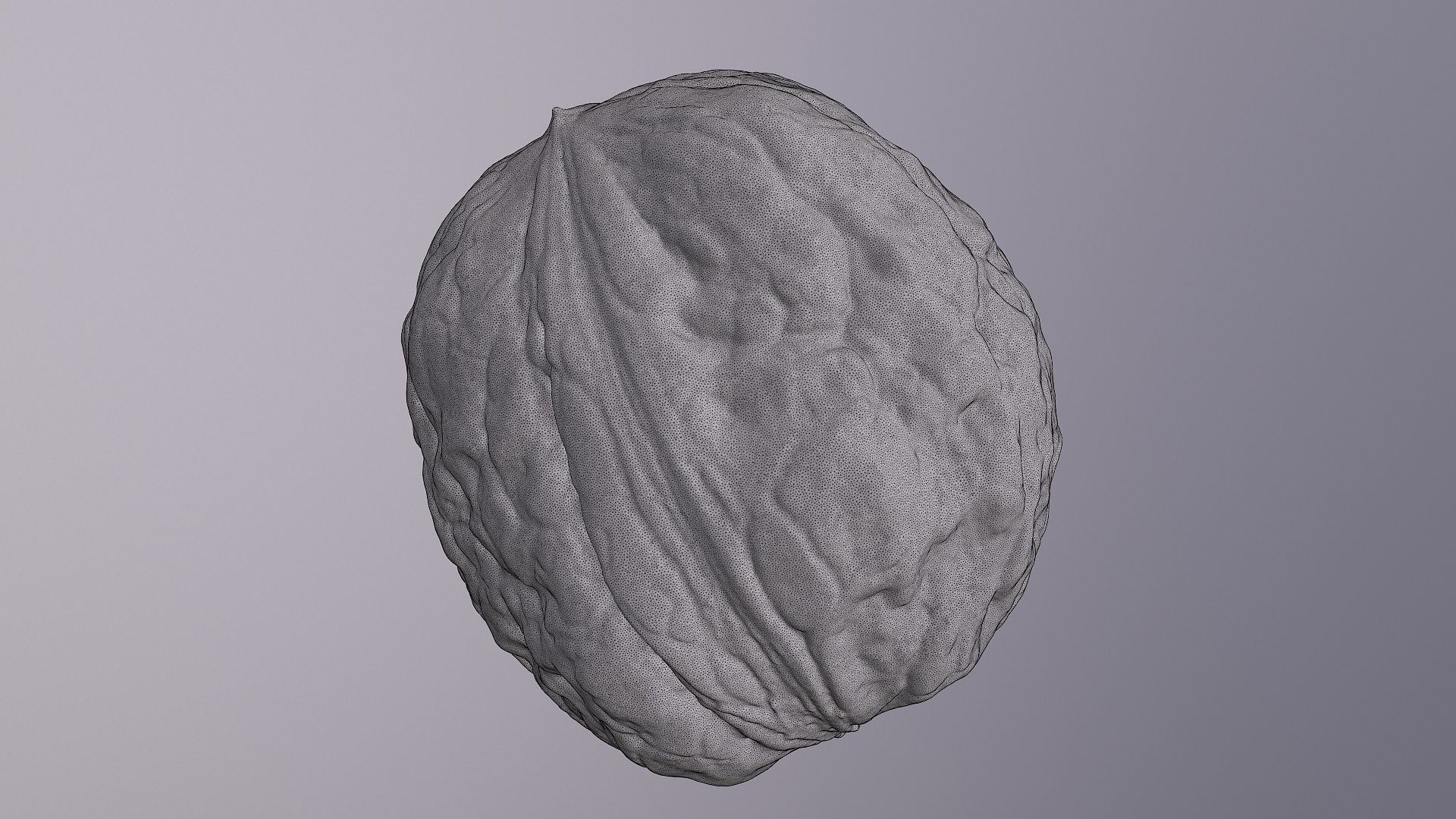 Walnut fruit 01 high-poly 3D model_37