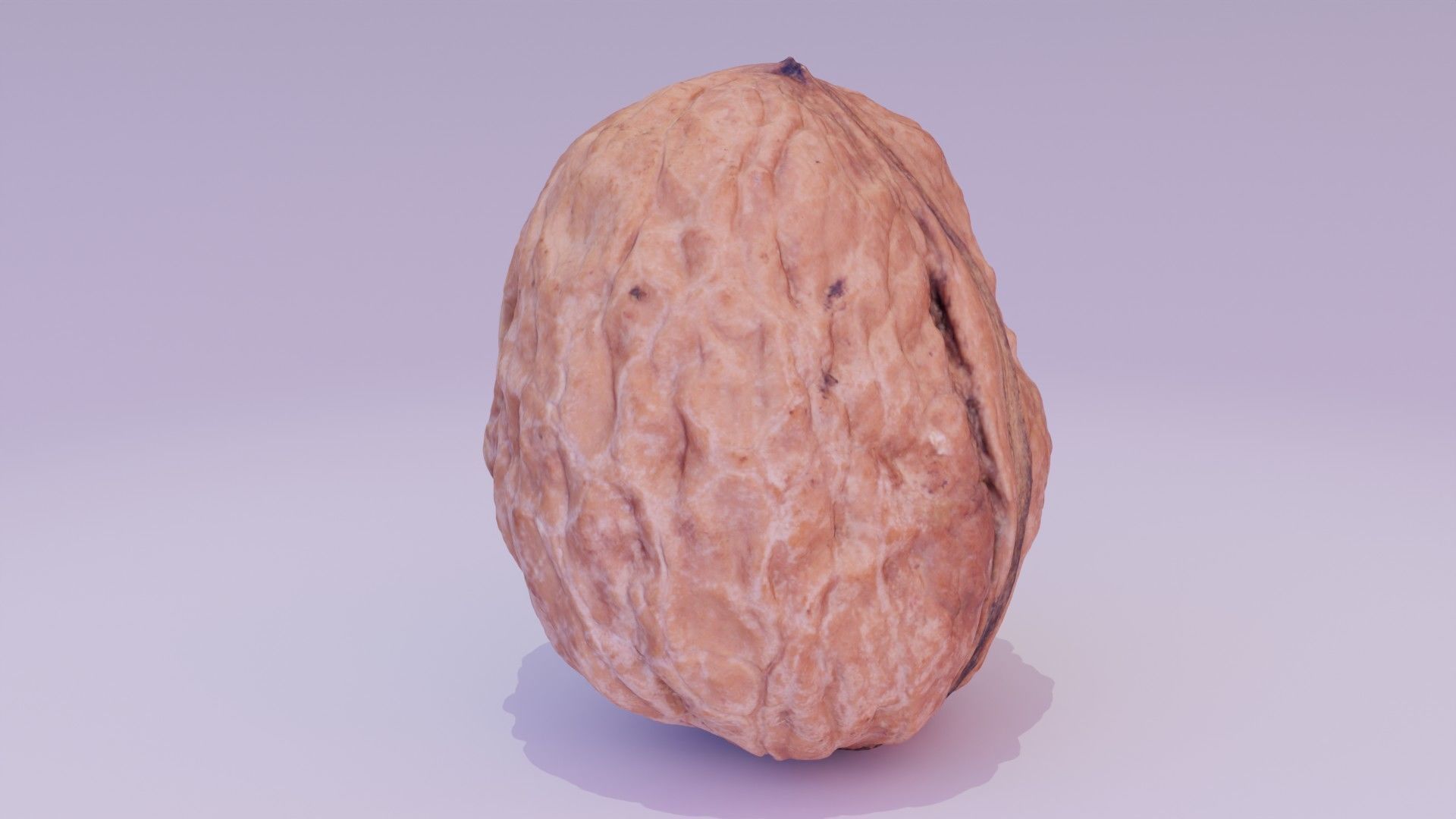 Walnut fruit 01 high-poly 3D model_11