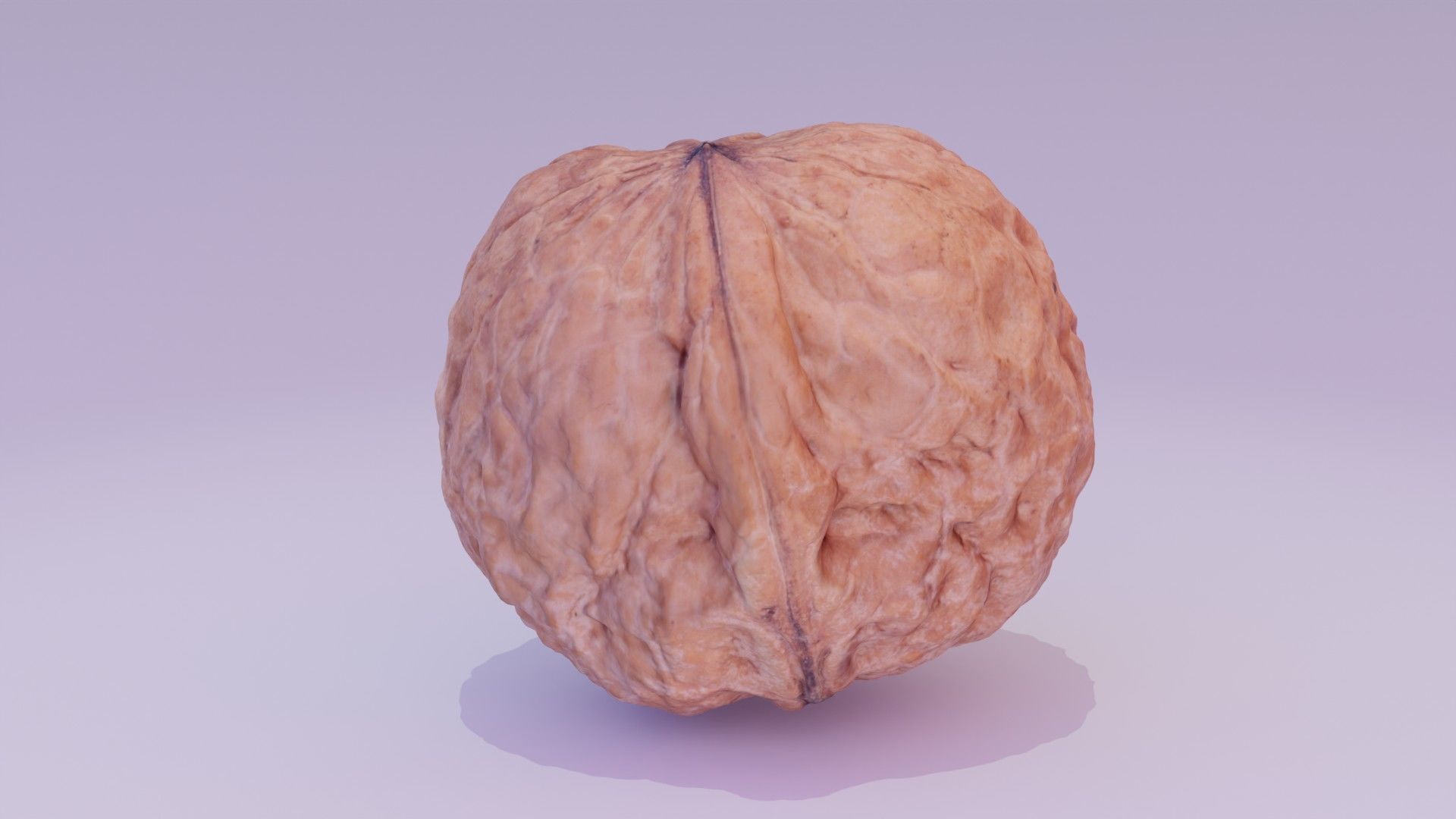 Walnut fruit 01 high-poly 3D model_16