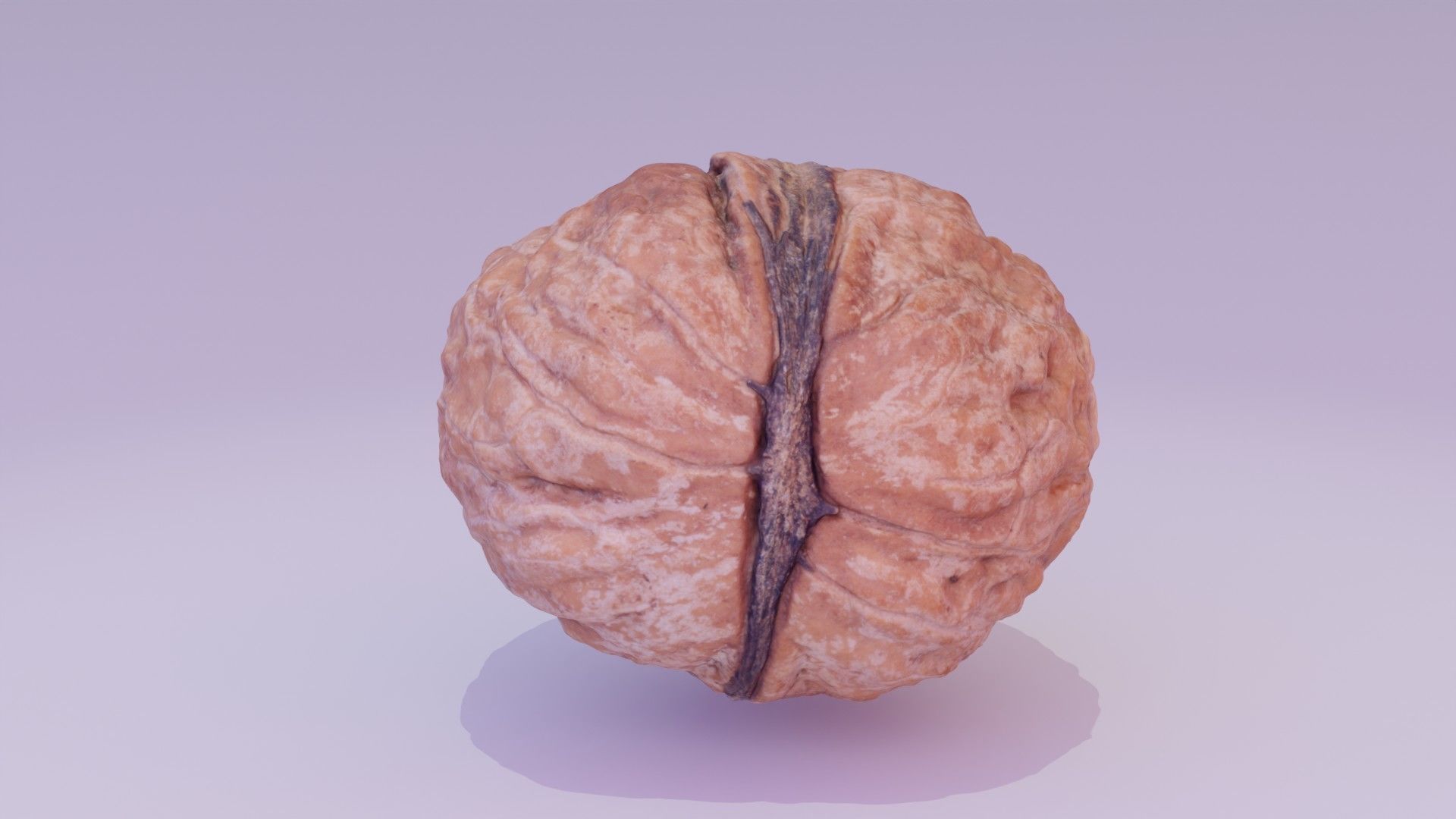 Walnut fruit 01 high-poly 3D model_21