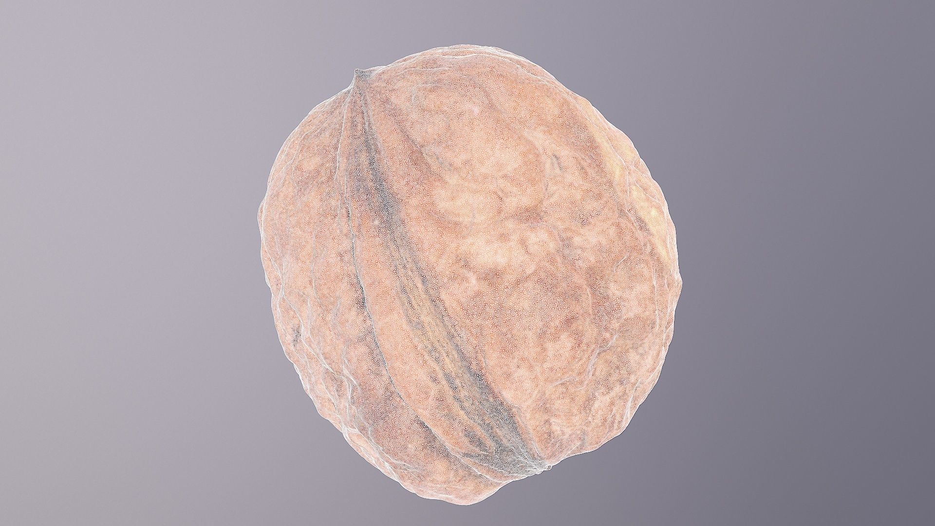 Walnut fruit 01 high-poly 3D model_36