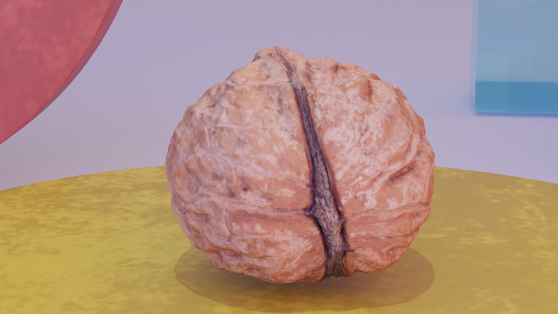 Walnut fruit 01 high-poly 3D model_8