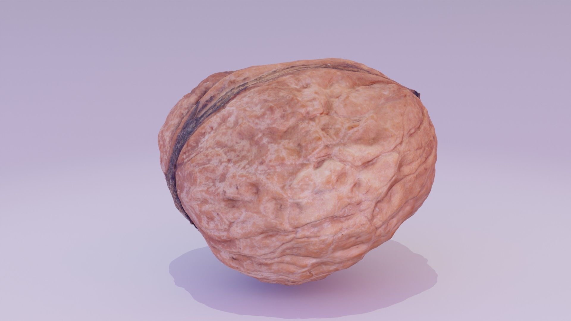 Walnut fruit 01 high-poly 3D model_19